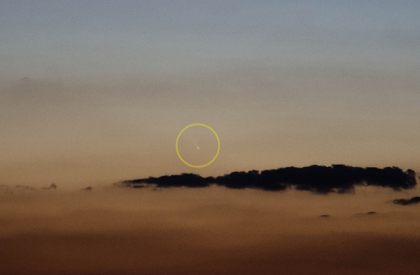 แพนสตาร์