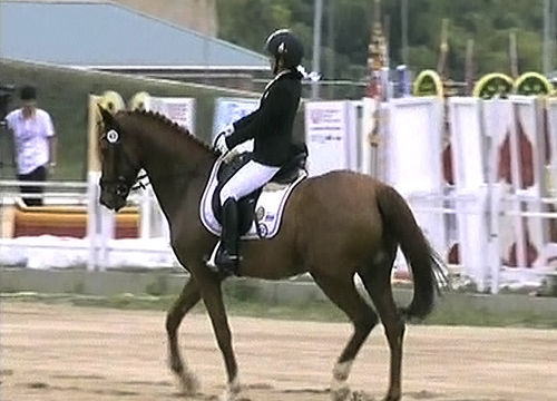 ซีเกมส์ 2013