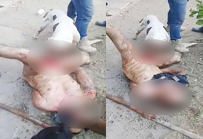 คดีข่มขืน