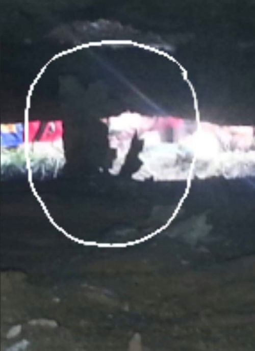  ชาวบ้านจัดเครื่องเซ่นไหว้ ถนนขยายตัว เชื่อภายในมีสิ่งศักดิ์สิทธิ์