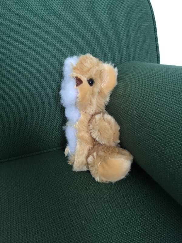  หนุ่มเจ็บปวดถูกแฟนทิ้ง เลยเลื่อยทุกสิ่งให้ขาดครึ่งแบบนี้