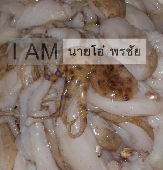 หมึกวงน้ำเงิน