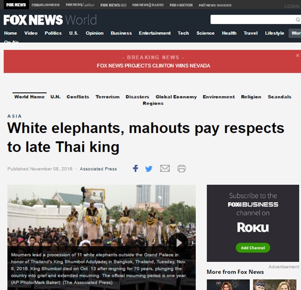 ช้างงางาม 11 เชือก 