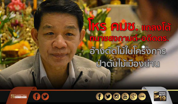 ตัดไม้สัก 