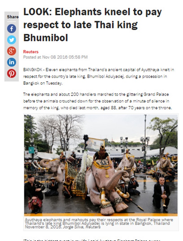 ช้างงางาม 11 เชือก 