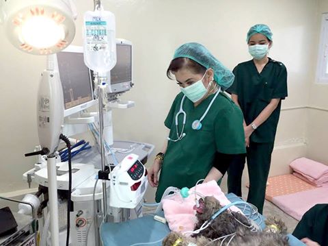 สมเด็จพระเจ้าลูกเธอ เจ้าฟ้าจุฬาภรณวลัยลักษณ์ อัครราชกุมารี