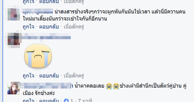 เจ้าพลายพนม ช้างสุดกตัญญู