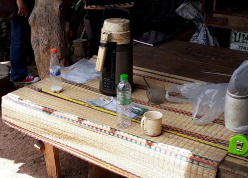 วางยาฆ่าหญ้า