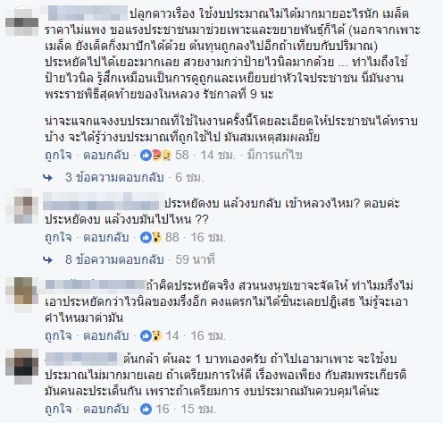 ดอกดาวเรือง