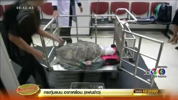 เต่าออมสิน