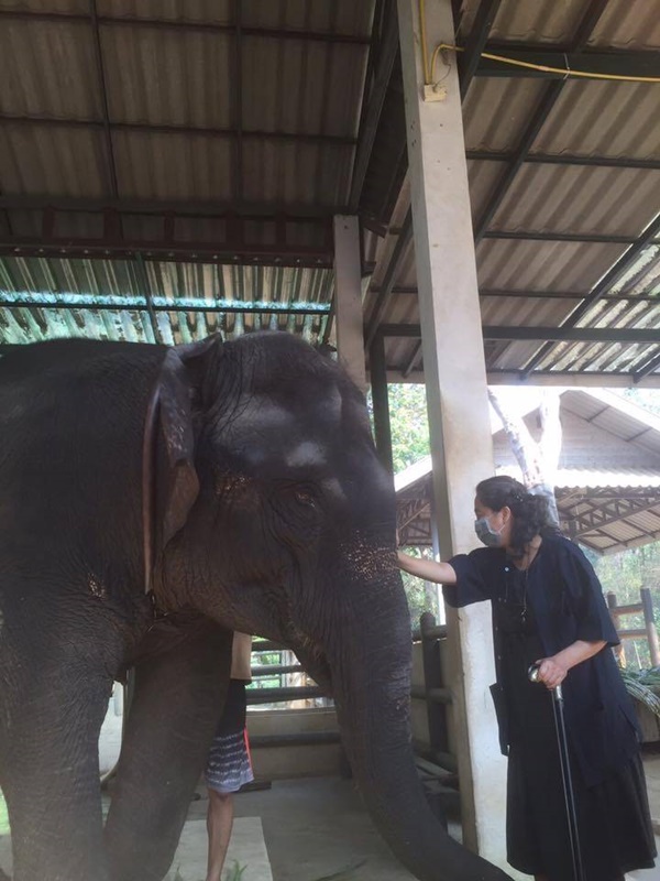 มูลนิธิเพื่อนช้าง