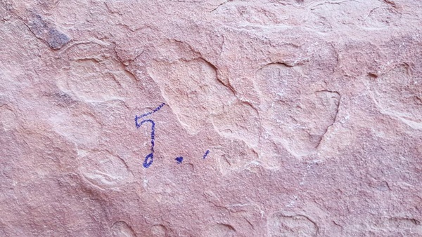  อ.เผ่าทอง ฉุนคนไทยมือบอน เขียนหินโบราณจอร์แดน