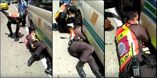 ช่วยแมวน้อย