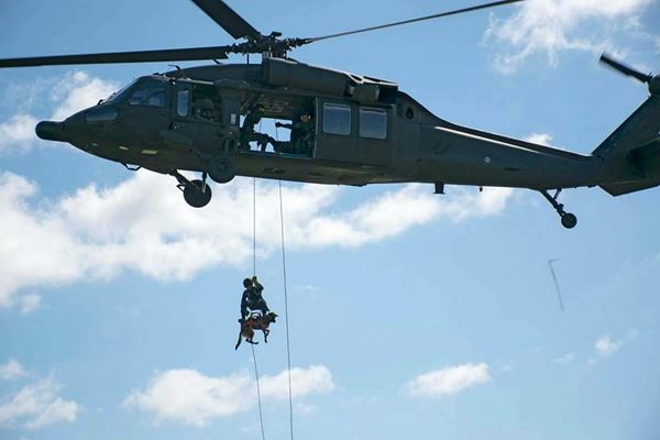 การฝึกสุนัขทหาร