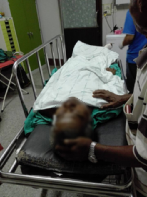 เจ้าพลายพนม ช้างสุดกตัญญู 