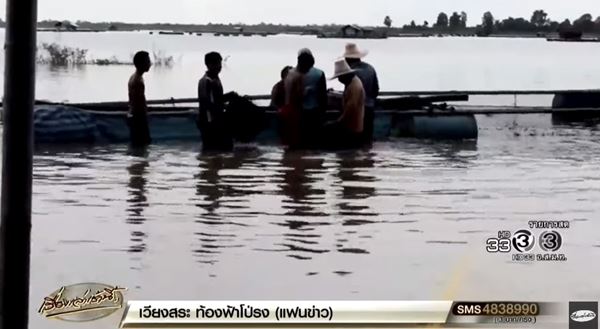 ชะโดอาละวาด 