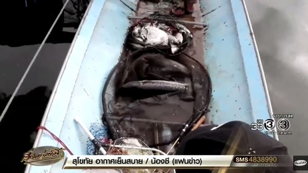 ชะโดอาละวาด 