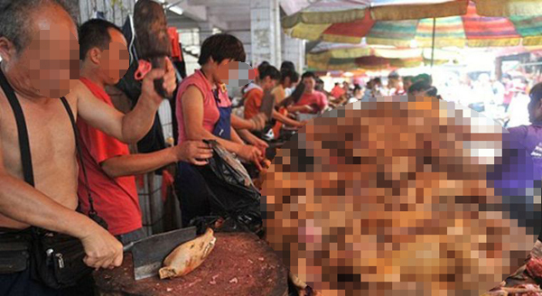 การทารุณกรรมสัตว์รุนแรง