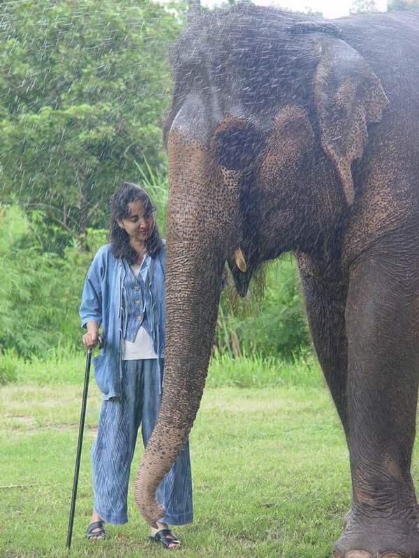 มูลนิธิเพื่อนช้าง