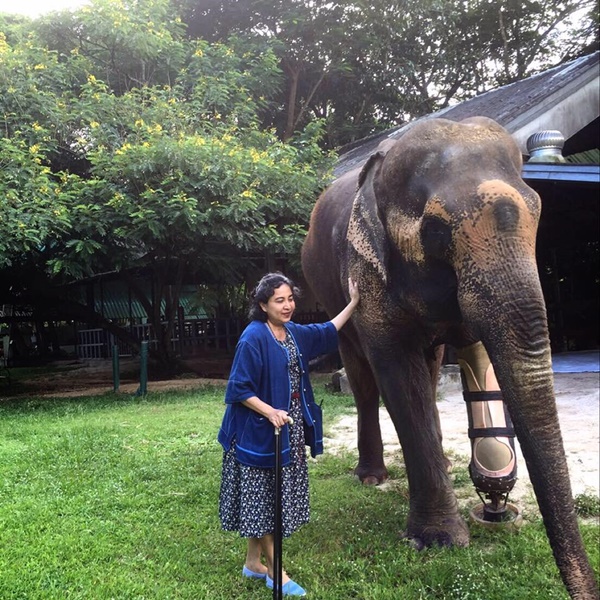 มูลนิธิเพื่อนช้าง