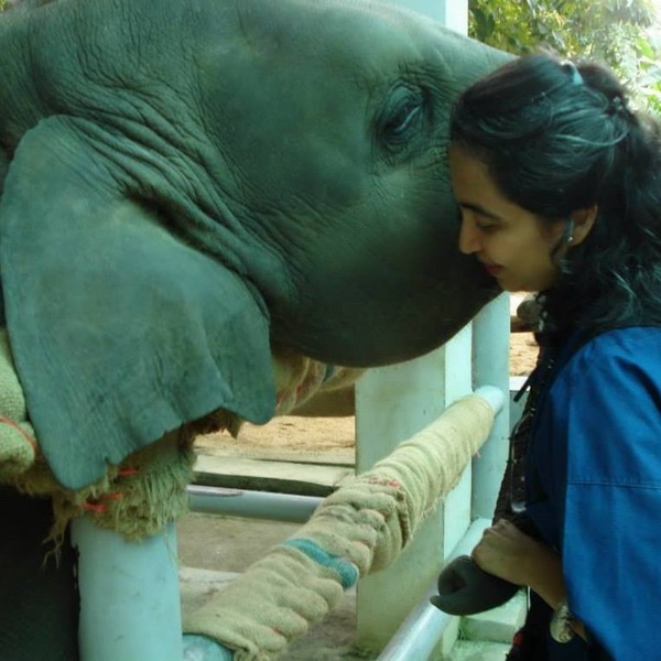 มูลนิธิเพื่อนช้าง