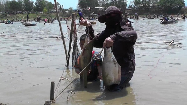 จับปลาในสระหมู่บ้าน