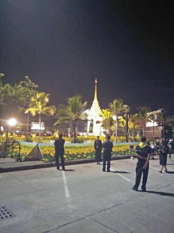 ดอกดาวเรือง