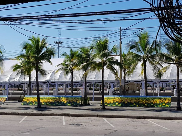 ดอกดาวเรือง