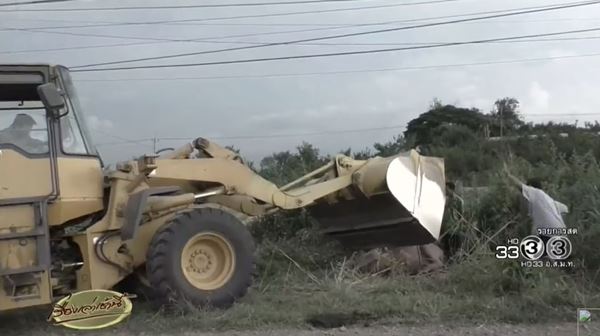 งูกัดควายตาย