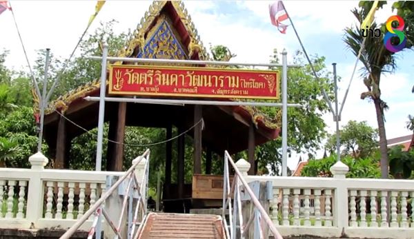 ปล่อยเต่าสะเดาะเคราะห์