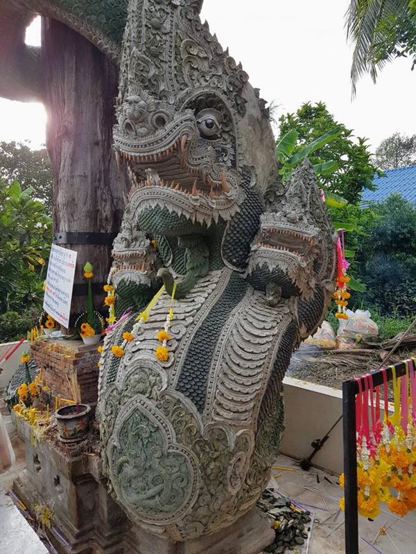  วัดป่าคลอง 11