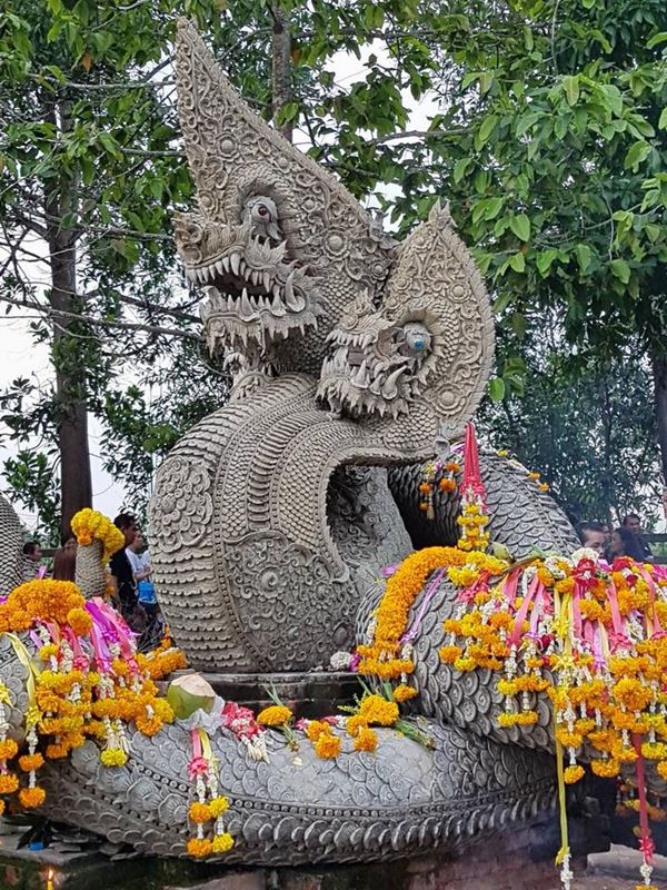  วัดป่าคลอง 11