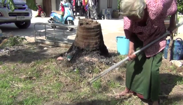 ยายวัย 86 ตั้งท้องแก่นาน 41 ปี 