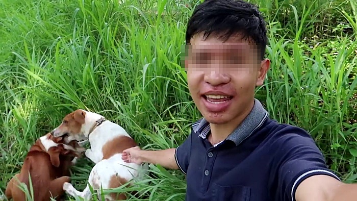 แกล้งหมา