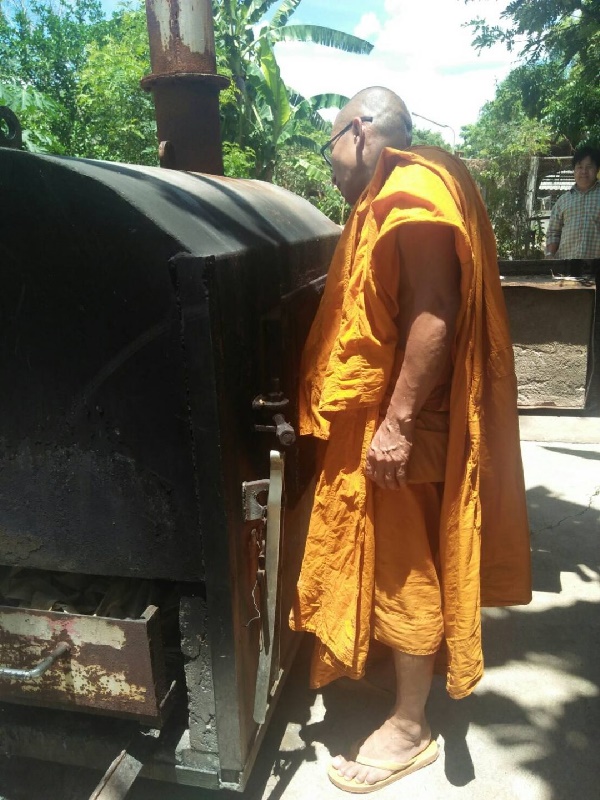 หมามาทิ้ง