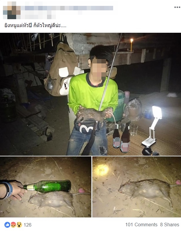 สัตว์ป่าคุ้มครอง