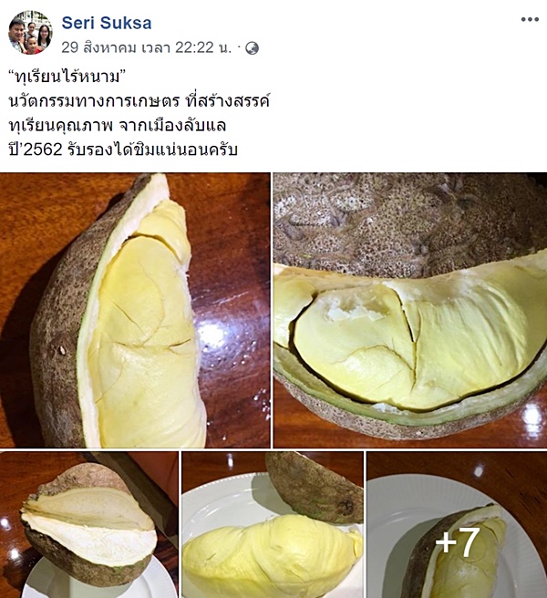 ทุเรียนไร้หนาม