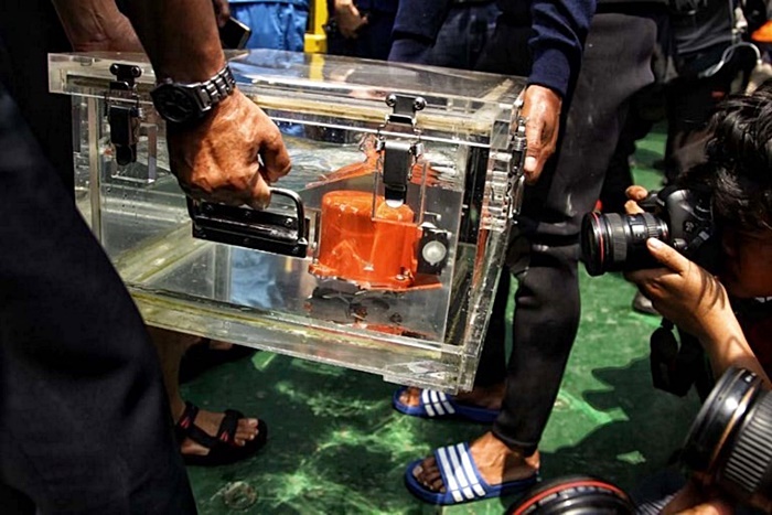 ไลอ้อนแอร์ตก