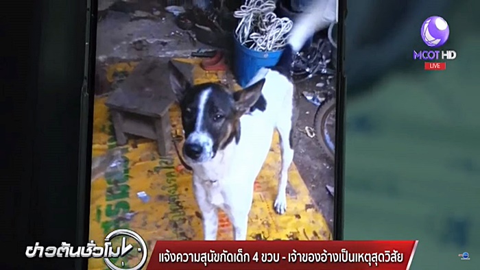 หมากัดเด็ก