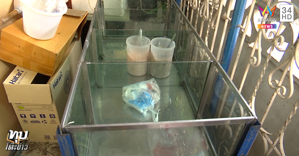 แม่ค้าฉาว