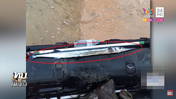 ทหารโดนปลาเต็กเล้งแทงคอตาย