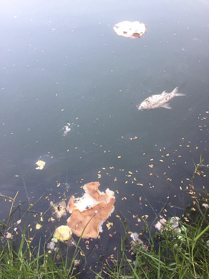 ลอยกระทง