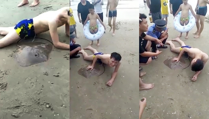 ปลากระเบนแทง