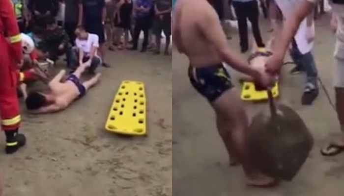 ปลากระเบนแทง