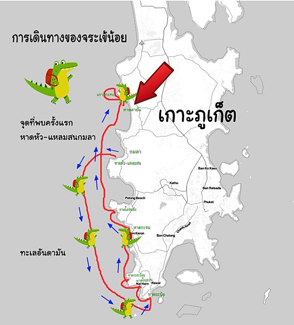 จระเข้
