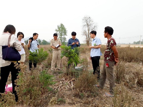  แมลงมรณะ 