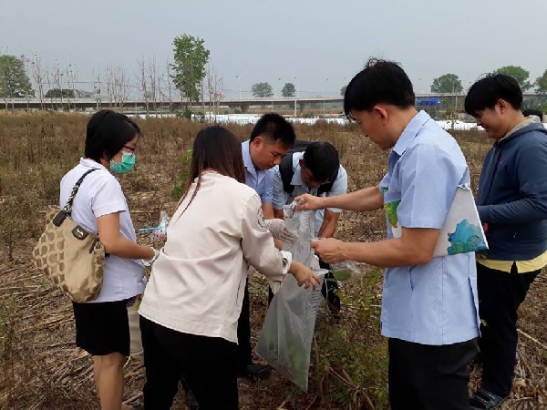  แมลงมรณะ 