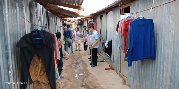  แมลงมรณะ 