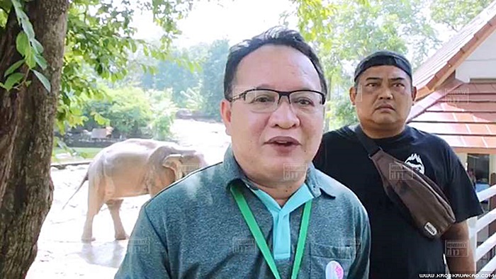 ช้างเล่นน้ำ 