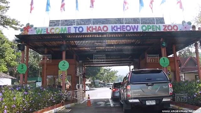 ช้างเล่นน้ำ 